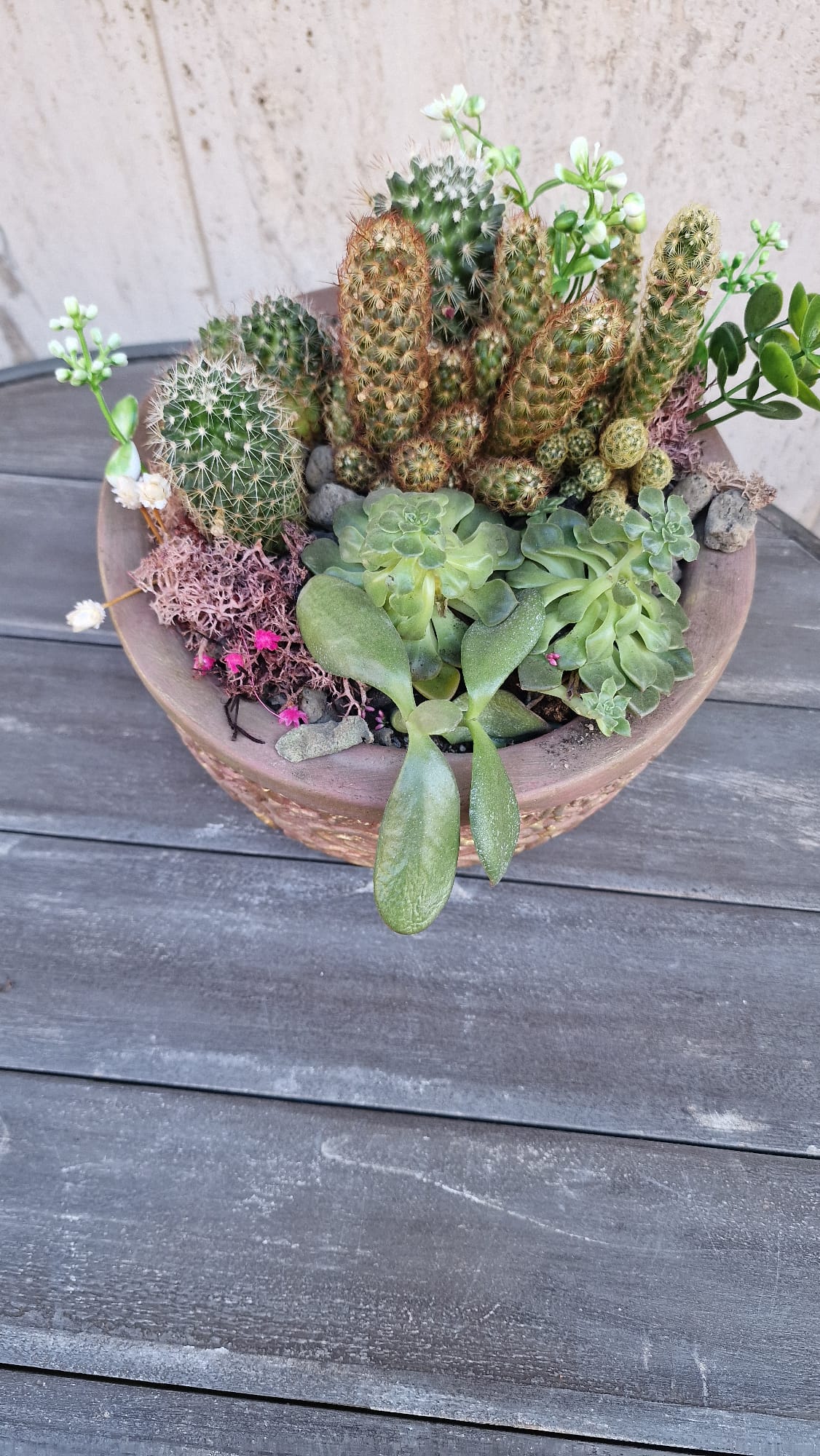 Immagine WhatsApp 2025-11-11 ore 10.41.34_730758d5 Immagine WhatsApp 2025-11-11 ore 10.41.34_730758d5