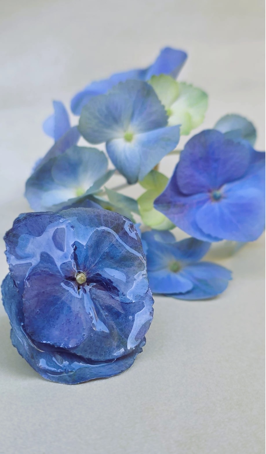 Anello botanico con ortensia blu vera: il dettaglio perfetto per damigelle e invitate. Anello artigianale regolabile con vero petalo di ortensia blu stabilizzata in resina lucida.